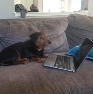 Meet your Posher, Cynthia